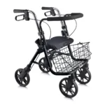 Evolution Series DX Rollator