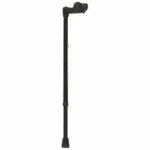Palm Handle Cane (R)